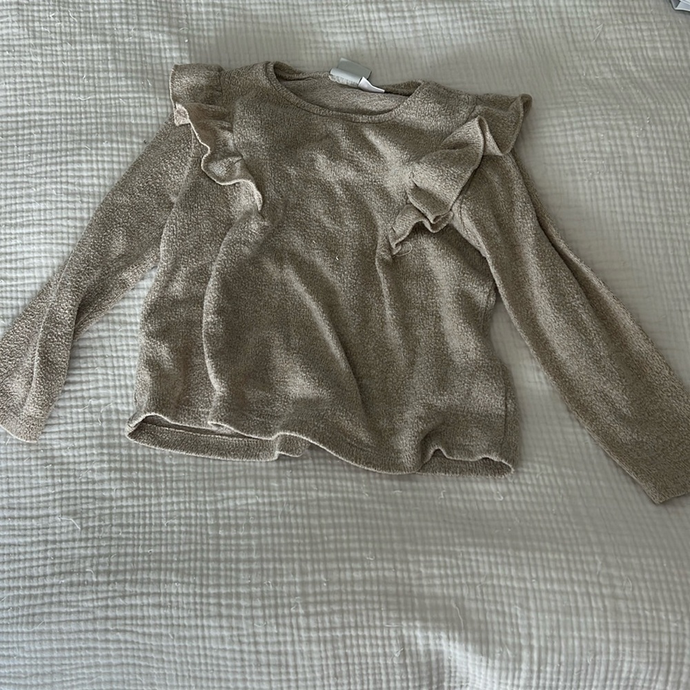 Zara tan sweater